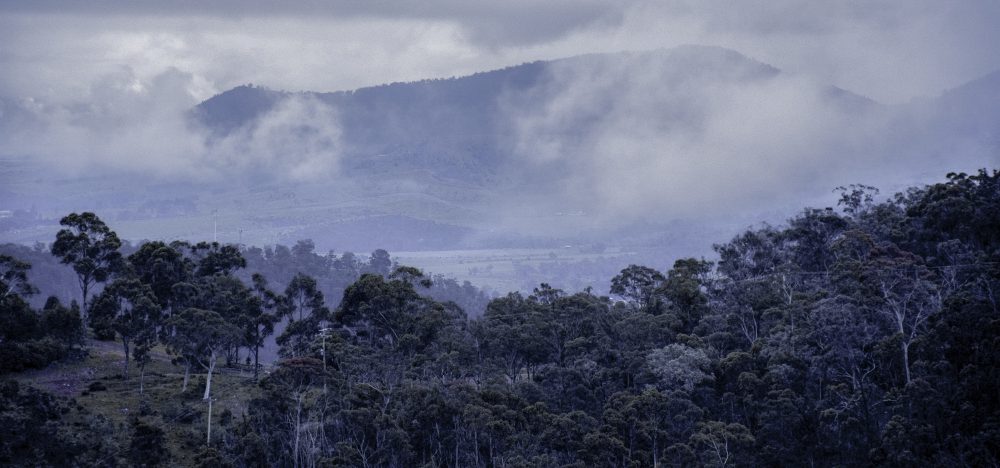 derwent valley tasmania crowdfunding campaign